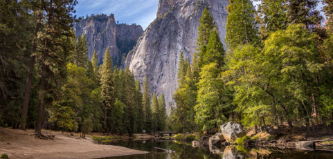 How to Go with the Flow When Life is Challenging