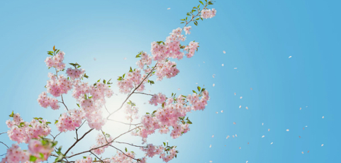 How to Move from Fear to Freedom