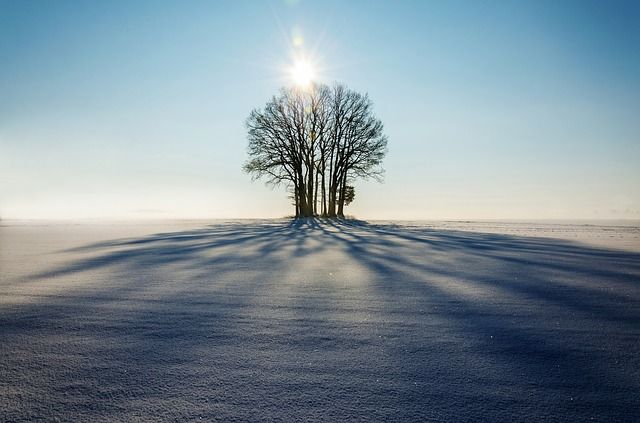 Winter Solstice